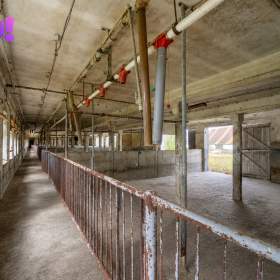 Foto inzerátu Prodej zemědělského areálu 32 709 m², Vícenice u Dolních Lažan, okres Třebíč