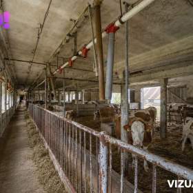 Foto inzerátu Prodej zemědělského areálu 32 709 m², Vícenice u Dolních Lažan, okres Třebíč