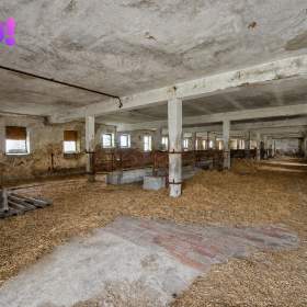 Foto inzerátu Prodej zemědělského areálu 32 709 m², Vícenice u Dolních Lažan, okres Třebíč