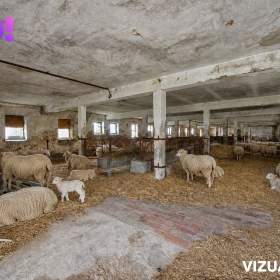 Foto inzerátu Prodej zemědělského areálu 32 709 m², Vícenice u Dolních Lažan, okres Třebíč