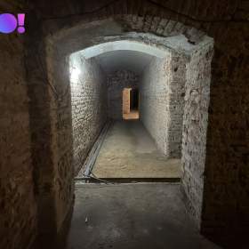 Foto inzerátu Pronájem komerčního prostoru 317 m², Ostrovní, Praha 1 – Nové Město
