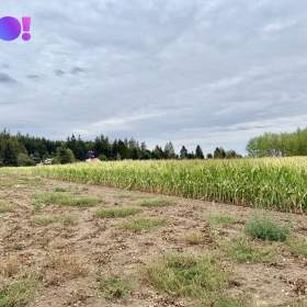 Foto inzerátu Prodej stavebního pozemku 1949 m², Pucov, okres Třebíč
