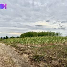 Foto inzerátu Prodej stavebního pozemku 1949 m², Pucov, okres Třebíč