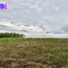 Foto inzerátu Prodej stavebního pozemku 1949 m², Pucov, okres Třebíč