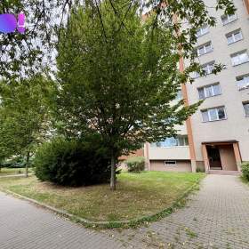 Foto inzerátu Prodej bytu 1+1, 41m2, ul. Masarykova třída, Orlová-Lutyně