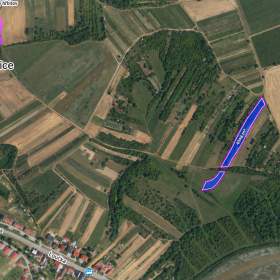 Prodej zemědělské půdy 4046 m², Dambořice / 19959420