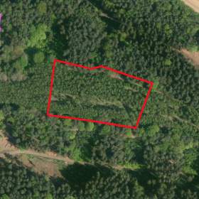 Foto inzerátu Prodej trvalého travního porostu, 9554 m², Vojetín