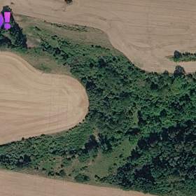Foto inzerátu Prodej zemědělského pozemku, 42 900 m², Snědovice