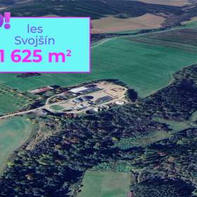 Prodej lesa, 1 625 m², Svojšín / 19963601