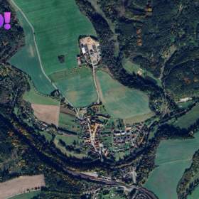 Foto inzerátu Prodej lesa, 1 625 m², Svojšín