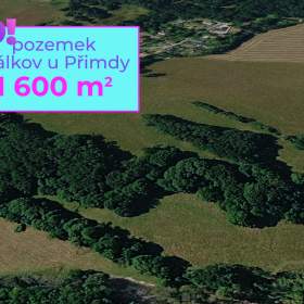 Prodej zemědělského pozemku, 1 600 m², Přimda / 19963609