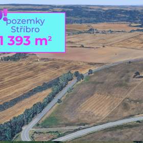 Foto inzerátu Prodej zemědělského pozemku, 1 393 m², Stříbro