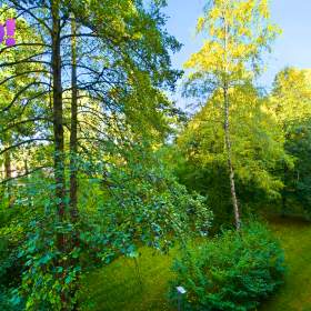 Foto inzerátu Prodej bytu 3+1, 70,5 m², ul. Krátká, Třinec - Lyžbice
