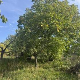 Foto inzerátu Prodej zahrady, Brno - Bosonohy