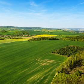 Foto inzerátu Prodej pozemku 1 428 m², Zástřizly