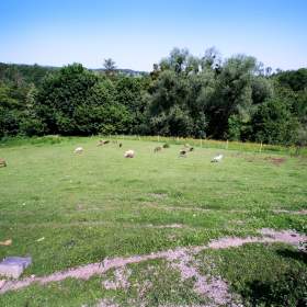 Foto inzerátu Areál pro agroturistiku, terapie, chov, hospodaření, pastevectví v Beskydech