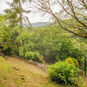 Foto inzerátu Prodej chaty 40 m², pozemek 658 m², Tyra