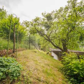 Foto inzerátu Prodej chaty 40 m², pozemek 658 m², Tyra