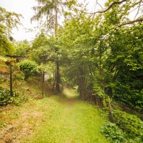 Foto inzerátu Prodej chaty 40 m², pozemek 658 m², Tyra