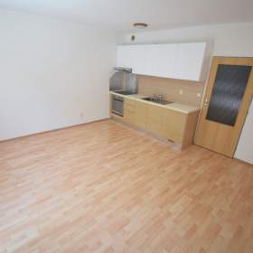 Pronájem bytu 1+kk, 30m2 + 40m2 terasa se zahrádkou, Novovysočanská P9 Vysočany, nezařízený / 19509960
