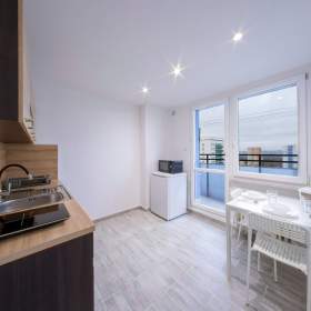 Prodej bytu 1+1, 41m², ul. Generála Hrušky, Ostrava -  Mariánské Hory / 19553419