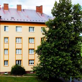 Foto inzerátu Byt 3+1 na perfektním místě, jen pár kroků od Fakultní nemocnice Olomouc